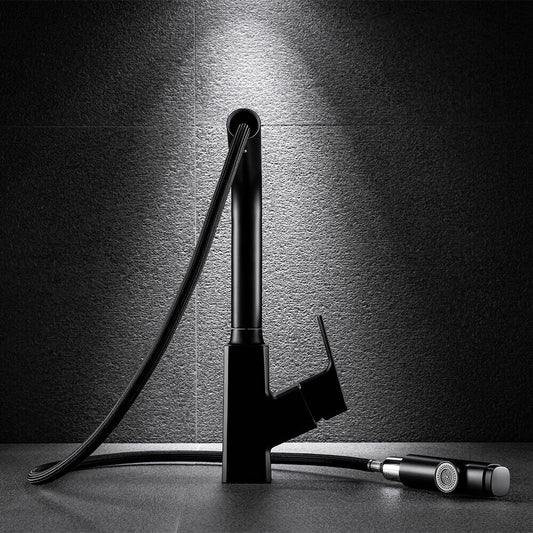 pull down sprayer kitchen faucet