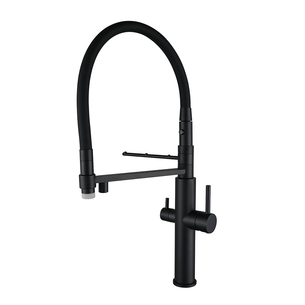 Kitchen Faucet Single-Hole Dual Handle Pull-Out Spout With Water Filtering - WELQUEEN HOME DECOR