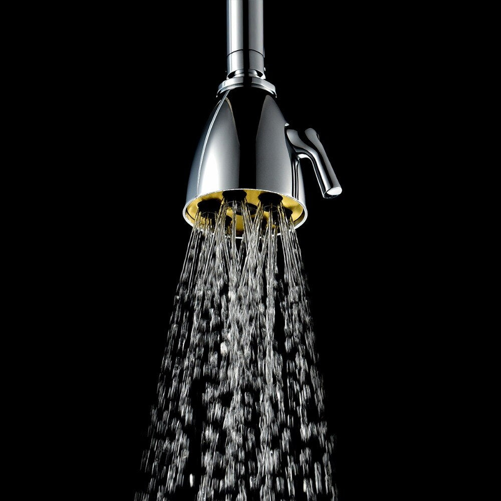 Free Shipping Brass Chrome Rain Shower Head Wall Mounted High Pressure Shower Head Rainfall 2 Jets Shower Head - WELQUEEN