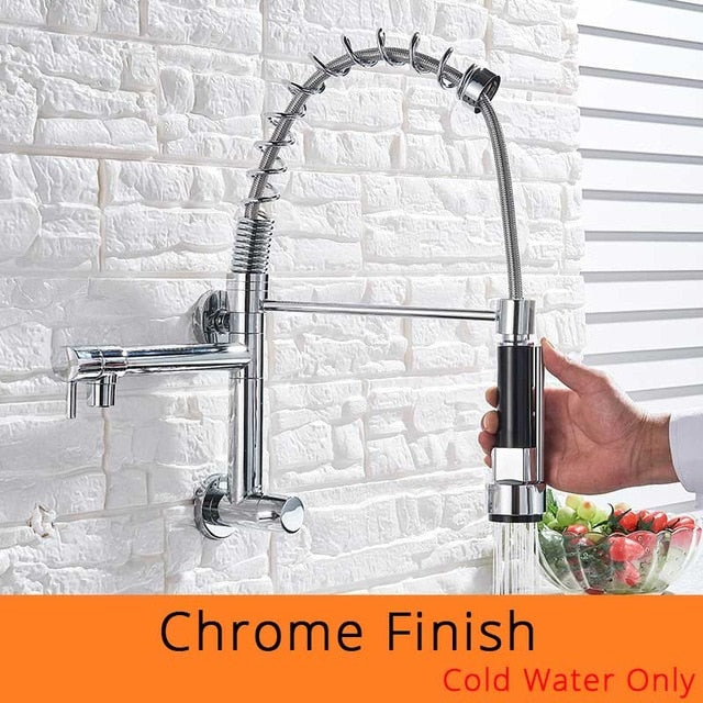 Brushed Spring Pull Down Kitchen Faucet Cold Water Dual Spouts Handheld Shower Kitchen Taps Wall Mounted Kitchen Washing Crane - WELQUEEN