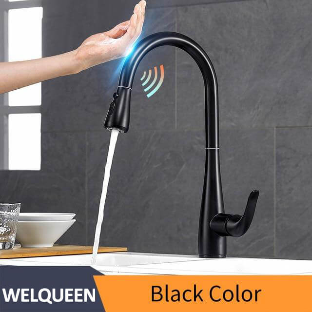 Pull Out Black Sensor Kitchen Faucets Stainless Steel Smart Induction Mixed Tap Touchless Control Sink Tap - WELQUEEN