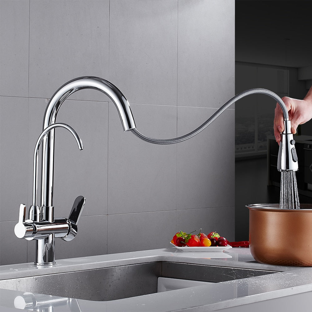 Pull Out Kitchen Faucets With Water Filter Tap Three Ways Brass Sink Mixer Kitchen Faucet Dual Handles - WELQUEEN