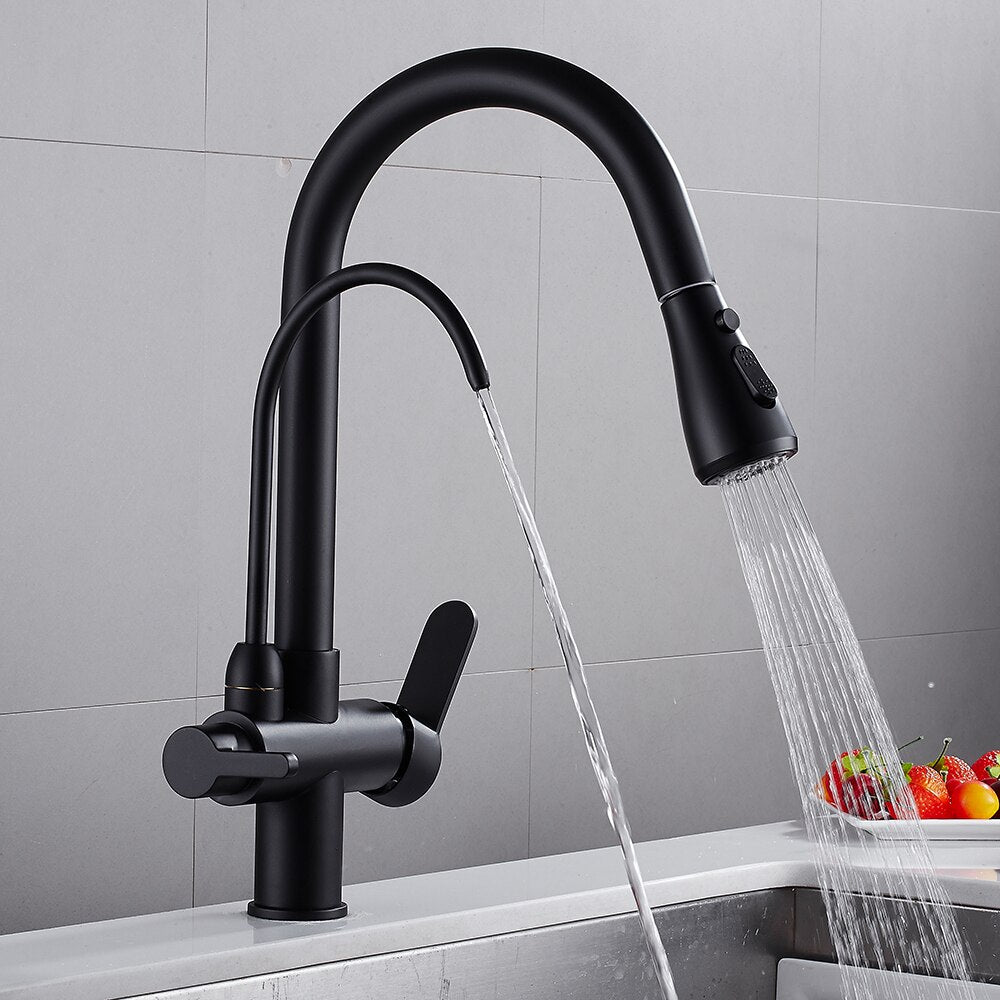 Pull Out Kitchen Faucets With Water Filter Tap Three Ways Brass Sink Mixer Kitchen Faucet Dual Handles - WELQUEEN