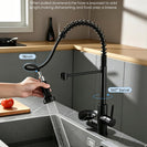 Pull Down Kitchen Faucet with Cup Washer Stainless Steel Kitchen Sink Faucet with Deck Plate Glass Rinser Cleaning Single Hole Faucet