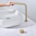 Dual Hole Basin Faucet Single Handle Vanity Sink Faucet 360 Degree Swivel Sink Water Faucet