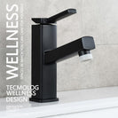 Brass Pulldown Basin Faucet with Pull Out Sprayer Single Lever Faucet for Bathroom Hot and Cold Water Faucet