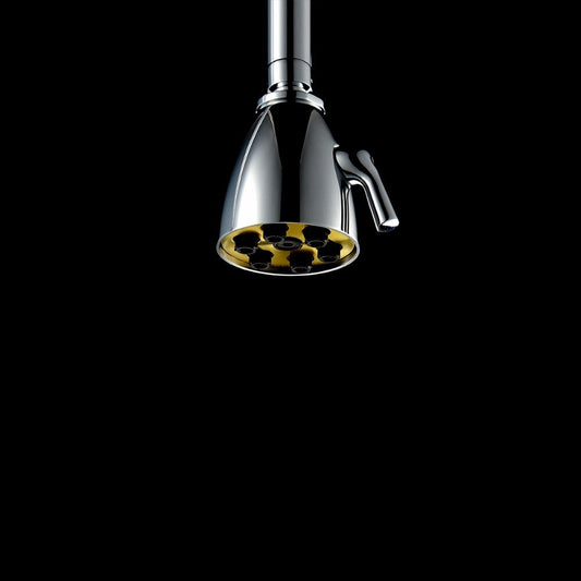 Free Shipping Brass Chrome Rain Shower Head Wall Mounted High Pressure Shower Head Rainfall 2 Jets Shower Head - WELQUEEN