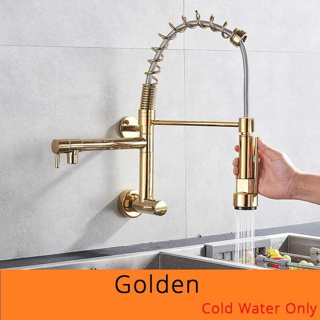 Brushed Spring Pull Down Kitchen Faucet Cold Water Dual Spouts Handheld Shower Kitchen Taps Wall Mounted Kitchen Washing Crane - WELQUEEN