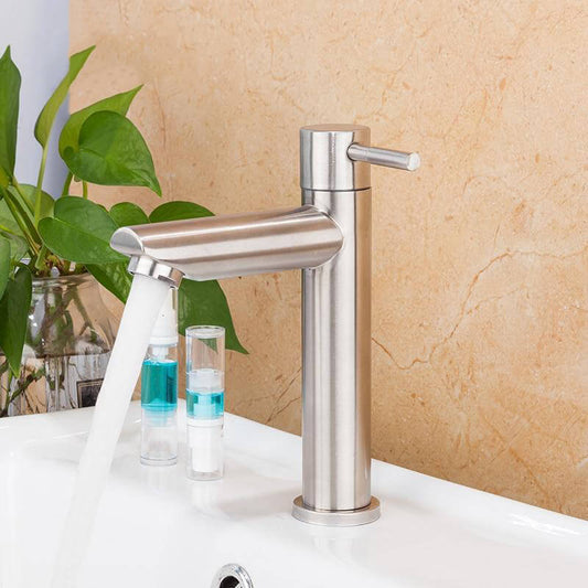 Basin Faucet Bathroom Sink Single Cold Water Tap Brushed Tap Water Faucet Bathroom Sink Faucet Tap Restroom - WELQUEEN