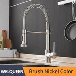 Kitchen Faucets Brush Brass Faucets for Kitchen Sink Single Lever Pull Out Spring Spout Mixers Tap Hot Cold Water Taps