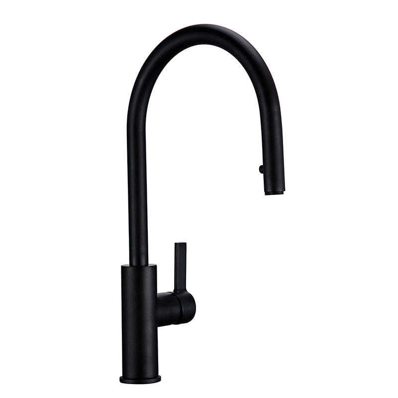 New Arrival Kitchen Faucet Swivel With Invisible Pull Out Nozzle Sprayer Gooseneck Pull Down Mixer Sink Tap in Matt Black - WELQUEEN